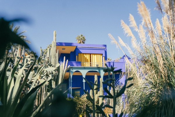 ¿Cuáles son las mejores prácticas para mantener un jardín vertical en interiores?